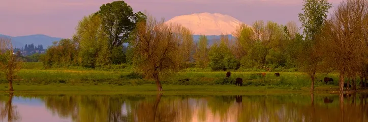 Living in St Helens, Oregon